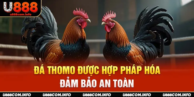 Đá Thomo được hợp pháp hóa, đảm bảo an toàn 