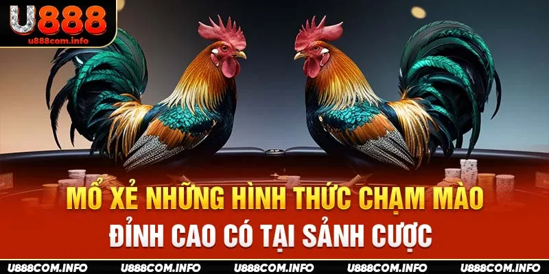 Mổ xẻ những hình thức chạm mào đỉnh cao có tại sảnh cược 